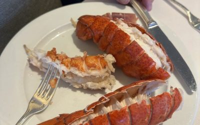 Sailing North on sailwest.net